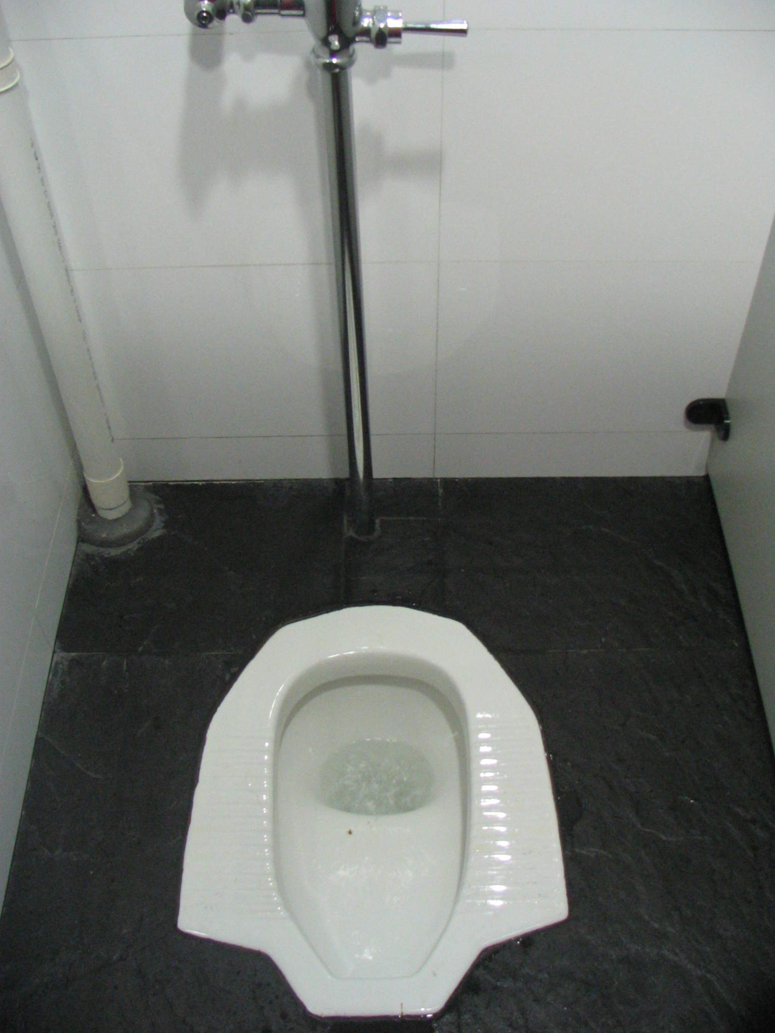 squat_toilet_shanghai.jpg