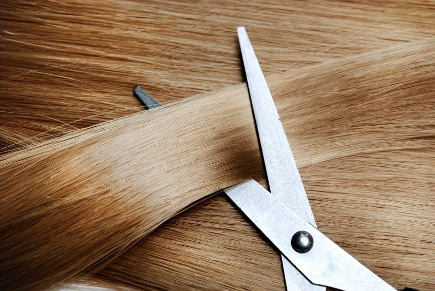 Human hair export Human hair export