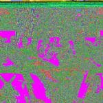 iStock_000003530571_Large