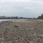 49653CF9-FF14-4A73-9F0D-9609E5A5008C